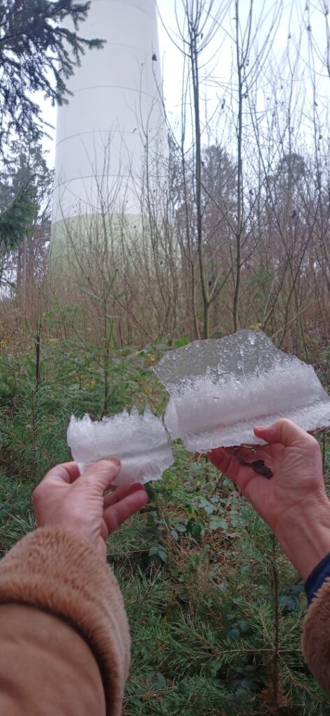 Eiswurf Lustholz