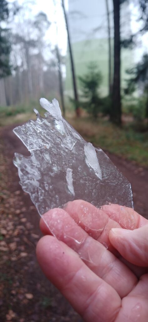 Eiswurf Lustholz