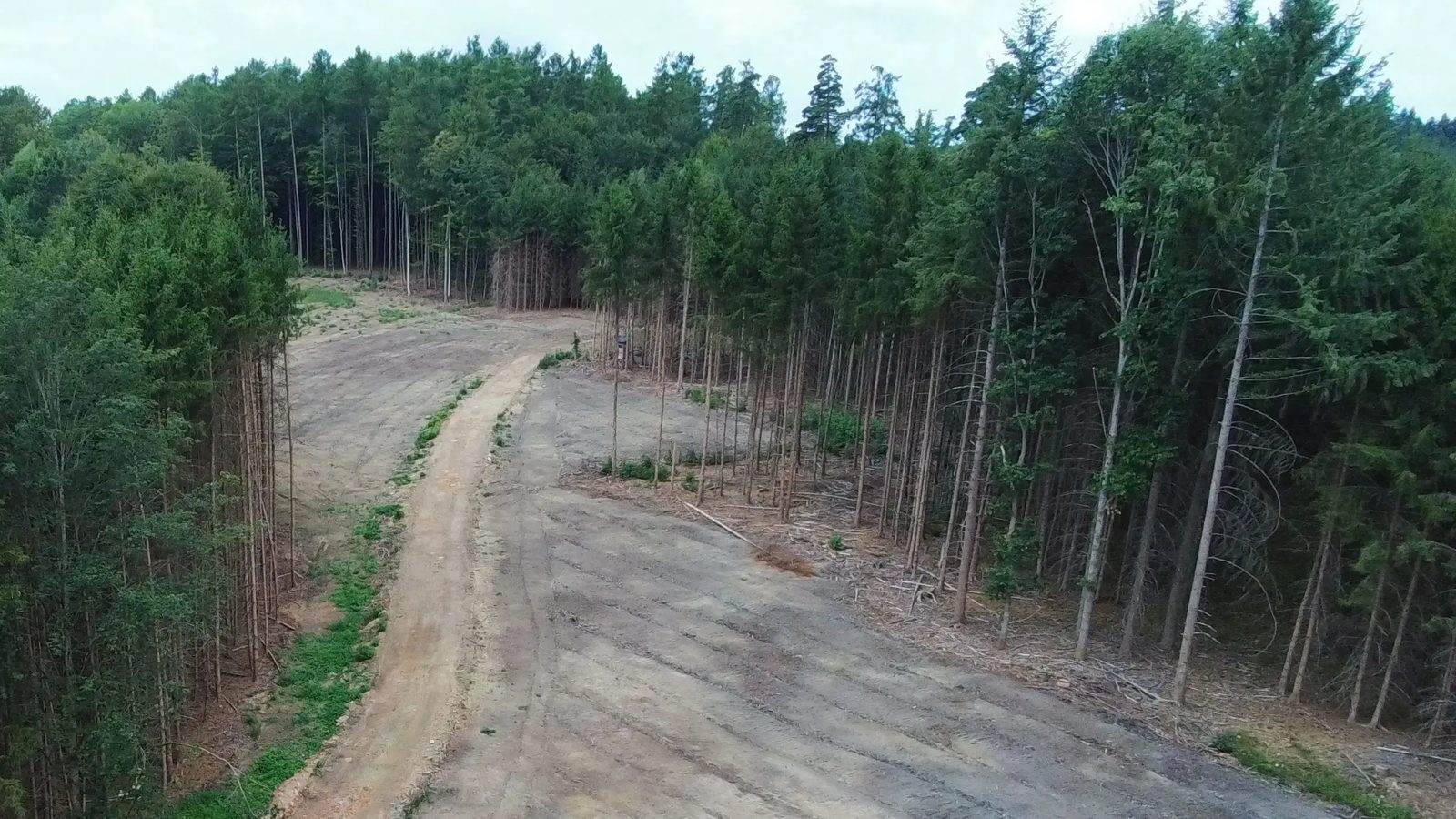 Drohnenaufnahme des Standorts WEA 2 in Hohenkammer am 28. Juli 2026 mit Zuwegung und Bauflächen